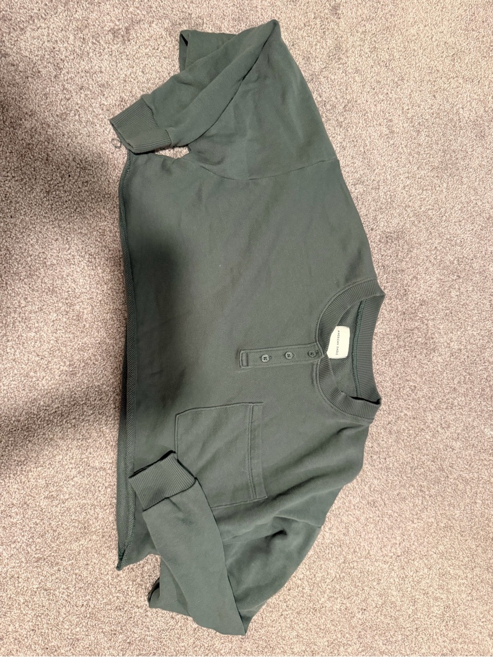 American Eagle Sage Green Sweatshirt crop Top